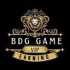 BDG Game Slots