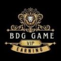 BDG Game Slots