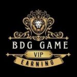 BDG Game Slots