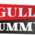 Gully Rummy
