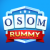 OSOM Rummy